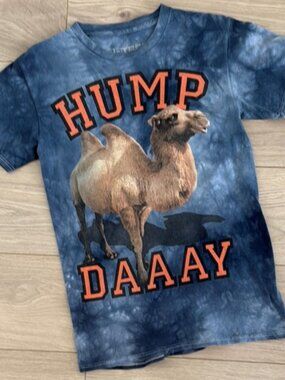 🌻  3D Tees By The Mountain Hump Day T-shirt